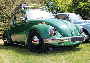Beetle 1300